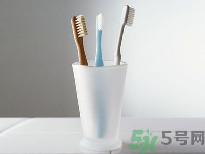 牙齦出血要換牙刷嗎？牙刷多久換一次好？