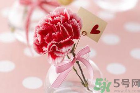 母親節(jié)送什么顏色的康乃馨？母親節(jié)應(yīng)該買什么顏色的康乃馨？