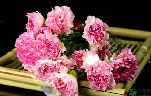 母親節(jié)送什么花好？母親節(jié)應該送什么鮮花？