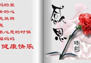 母親節(jié)送什么花好？母親節(jié)應該送什么鮮花？