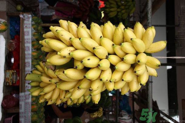 孕婦可以吃牛奶蕉嗎？孕婦吃牛奶蕉好嗎？