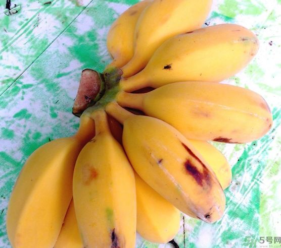 什么是牛奶蕉？牛奶蕉好吃嗎？