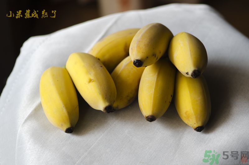 牛奶蕉可以和蘋果一起吃嗎？牛奶蕉和蘋果一起吃好嗎？