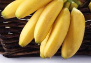 糖尿病可以吃牛奶蕉嗎？糖尿病吃牛奶蕉好嗎？