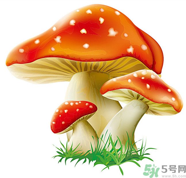 吃蘑菇可以喝酒嗎？吃蘑菇喝酒會中毒嗎？