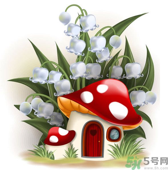 吃蘑菇可以喝酒嗎？吃蘑菇喝酒會中毒嗎？