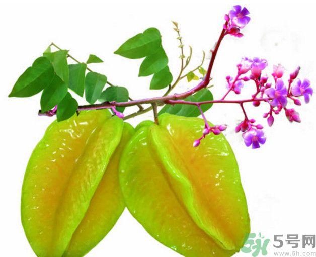 慢性腎炎可以吃楊桃嗎？慢性腎炎吃楊桃好嗎？