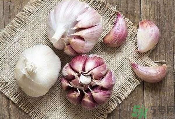 提高記憶力要吃什么食物？吃什么食物提高記憶力？
