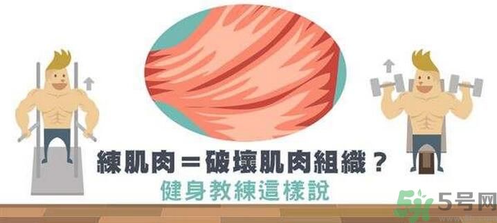練肌肉會(huì)破壞肌肉組織嗎？練肌肉要注意什么呢？