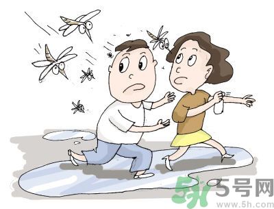 被蚊子咬很癢怎么辦？被蚊子咬要怎么止癢？