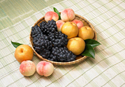 桃子和梨子能一起吃嗎？桃子和梨子一起吃好嗎？