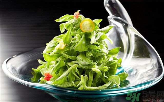 什么是冰草？冰草有什么作用？