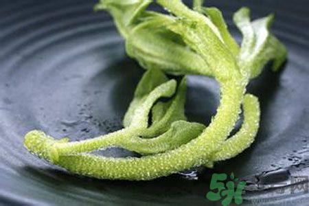 冰草好吃嗎？冰草怎么做好吃？