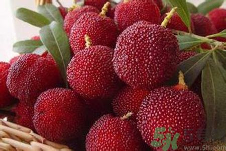 楊梅是不是發(fā)物？楊梅是發(fā)物嗎？