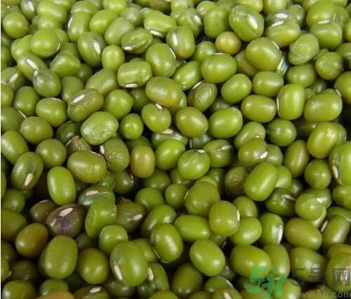 吃綠豆可以減肥嗎？喝綠豆湯能減肥嗎？
