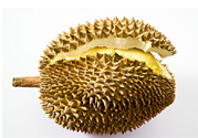 吃榴蓮會(huì)上火嗎？榴蓮是發(fā)物嗎？