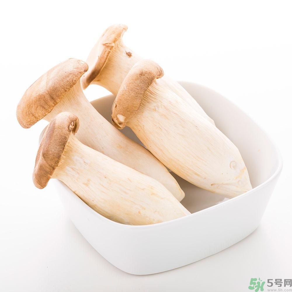 吃杏鮑菇有什么好處？吃杏鮑菇對身體好嗎？