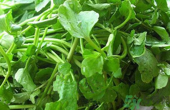 水腫能吃茄子嗎？茄子能消水腫嗎？
