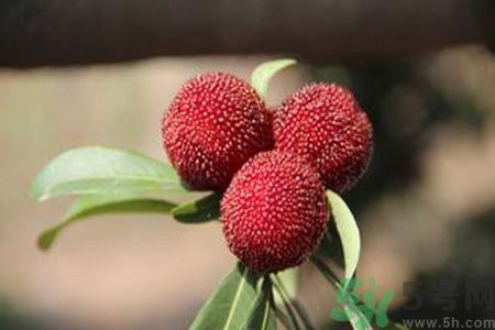 吃楊梅會(huì)上火嗎？吃楊梅上火怎么辦？