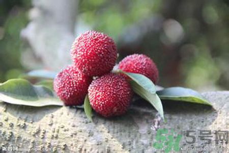 吃楊梅會(huì)上火嗎？吃楊梅上火怎么辦？