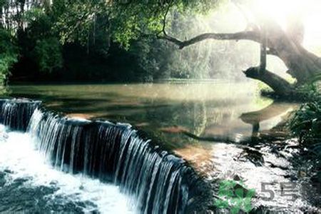 為什么夏至有雨三伏熱？夏至有雨三伏熱是什么意思？