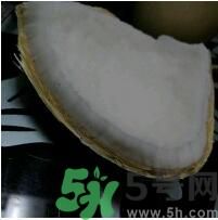 椰子可以放冰箱嗎？椰子放冰箱容易壞嗎？