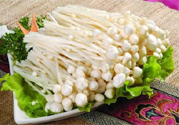 吃金針菇有什么好處？吃金針菇對身體好嗎？