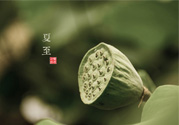 夏至有什么習俗？夏至吃什么傳統(tǒng)食物？