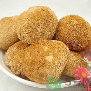 吃猴頭菇有什么好處？猴頭菇有什么營(yíng)養(yǎng)價(jià)值？
