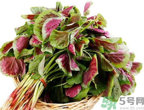 補血吃什么蔬菜好？吃什么蔬菜可以補血？