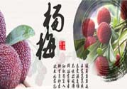 喉嚨痛可以吃楊梅嗎？喉嚨痛吃楊梅好嗎？