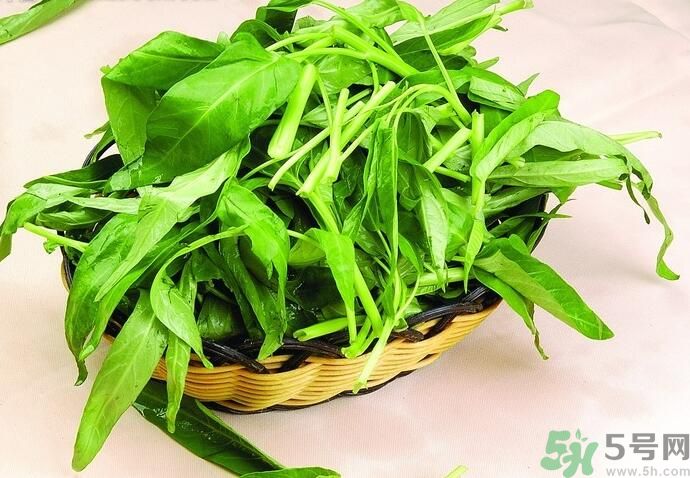 空心菜有什么功效？空心菜的功效是什么？