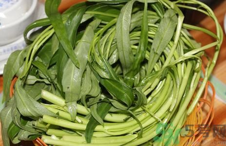 空心菜吃葉子還是吃桿？空心菜吃葉子好嗎？