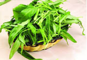 吃空心菜有什么好處？多吃空心菜對身體好嗎？