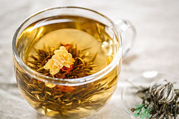 茉莉花綠茶加苦瓜能減肥嗎？茉莉花和苦瓜泡水喝嗎？