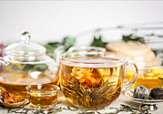茉莉花綠茶加苦瓜能減肥嗎？茉莉花和苦瓜泡水喝嗎？