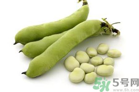 蠶豆是熱性還是涼性？蠶豆是熱性的嗎？