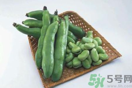 蠶豆是熱性還是涼性？蠶豆是熱性的嗎？