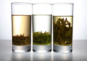 茯苓和苦丁茶能一起泡嗎？茯苓可以和苦丁茶一起喝嗎？