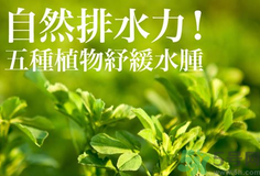 南瓜去水腫嗎？南瓜能消腫嗎？
