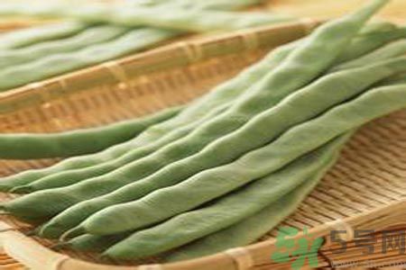 四季豆是發(fā)物嗎？四季豆是不是發(fā)物？