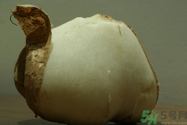 涼薯吃多了好嗎？地瓜吃多了會上火嗎？