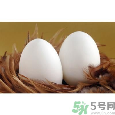 鵝蛋可以清火嗎？鵝蛋可以降火嗎？