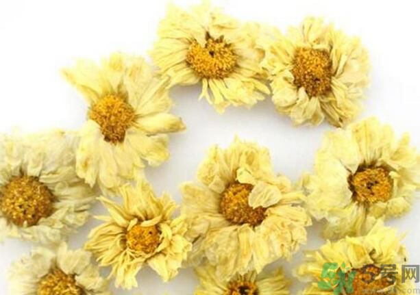 菊花晶有什么功效？菊花晶的功效是什么？