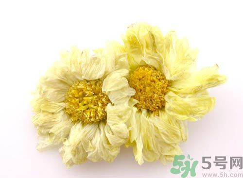 菊花晶能喝綠豆湯一起喝嗎？菊花晶和綠豆湯可以一起喝嗎？