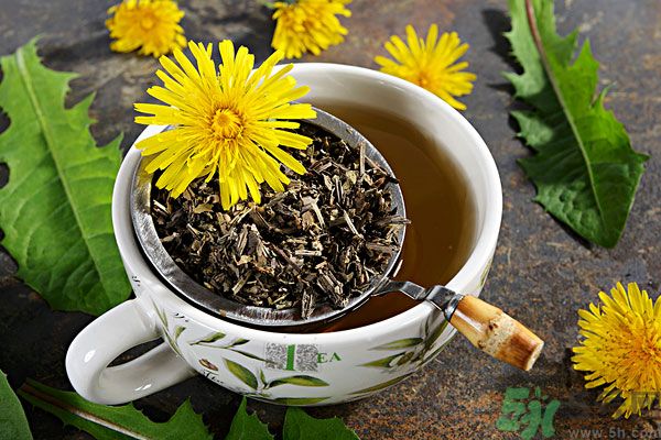 蒲公英泡茶有什么功效？蒲公英泡茶的功效是什么？