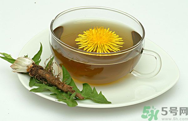 蒲公英根泡茶好還是蒲公英葉泡茶好？蒲公英根和葉哪個效果好？