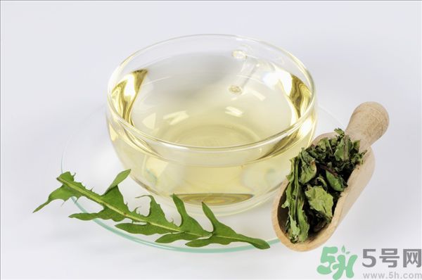蒲公英根泡茶好還是蒲公英葉泡茶好？蒲公英根和葉哪個效果好？