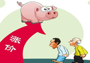 豬肉價(jià)格為什么驚動(dòng)世界？豬肉價(jià)格一直上漲的原因是什么？