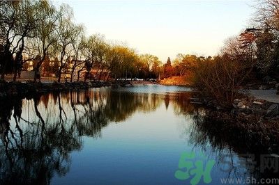 清華取消北大培文杯非原創(chuàng)考生自招資格是怎么回事？